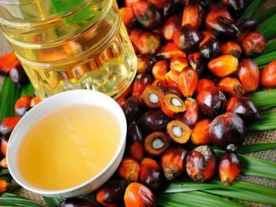 Елизавета Тихонова - Агроном назвала полезные свойства пальмового масла - golos.ua - Украина
