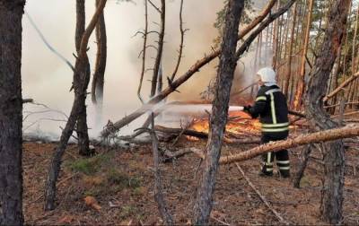 Пожар в Луганской области продолжают тушить, ветер не утихает - rbc.ua - Луганская обл.