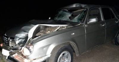 В Башкирии под колёсами машины погиб внезапно выбежавший на дорогу мужчина - ufacitynews.ru - Башкирия