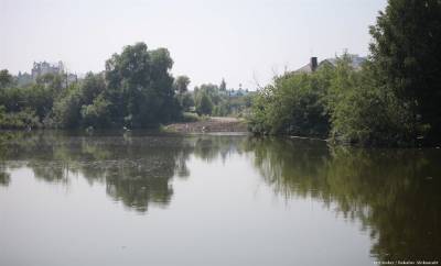 Совбез считает экологически напряженной обстановку на томских водоемах - tv2.today - Красноярский край - Новосибирск - респ. Алтай - Новосибирская обл. - Томская обл.