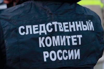 После исчезновения студентки в Севастополе СК завёл дело - aif.ru - Россия - Севастополь - Ставрополье