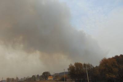 На Луганщине очередной поджог: Детонируют снаряды, огонь подступает к электроподстанциям - vkcyprus.com - Луганская обл.