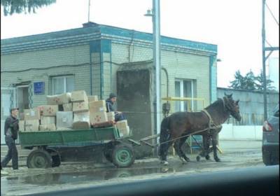 В Ровенской области людям привозят посылки почтовые лошади - news.bigmir.net - Дубно