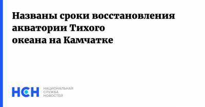 Владимир Солодов - Названы сроки восстановления акватории Тихого океана на Камчатке - nsn.fm - Камчатский край