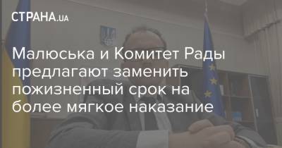 Денис Малюська - Малюська и Комитет Рады предлагают заменить пожизненный срок на более мягкое наказание - strana.ua - Украина