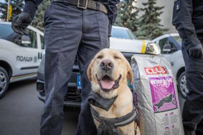 Украинцев с COVID-19 будут искать полицейские собаки - news.bigmir.net - Украина - Финляндия - Хельсинки