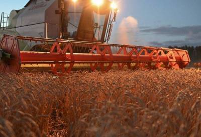Экспортные цены пшеницы РФ вновь начали расти - smartmoney.one - Москва - Россия - Новороссийск - Omsk