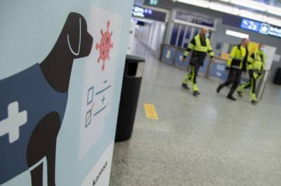 В МВД хотят привлечь собак-нюхачей для выявления людей с коронавирусом COVID-19 - vkcyprus.com - Англия - Франция - Финляндия - Хельсинки