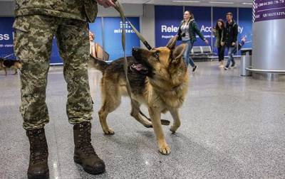 В МВД Украины рассматривают возможность использования собак-нюхачей для выявления больных COVID-19 - vchaspik.ua - Украина - Финляндия - Хельсинки