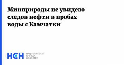 Дмитрий Кобылкин - Минприроды не увидело следов нефти в пробах воды с Камчатки - nsn.fm - Россия