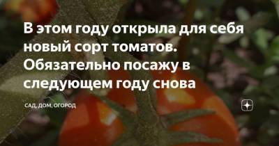 В этом году открыла для себя новый сорт томатов. Обязательно посажу в следующем году снова - skuke.net