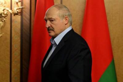 Евгений Спицын - Лукашенко - Политолог Спицын заявил, что у каждого сегмента протестного электората в Белоруссии есть свои интересы - argumenti.ru - Белоруссия