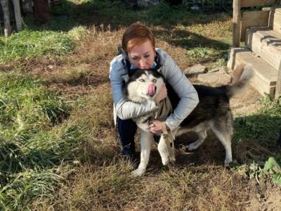 Пост в соцсети помог жительнице Южного Урала вернуть украденного у неё пса хаски - u24.ru - район Чебаркульский