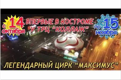 В Кострому приехал цирк-шапито «Максимус» - kostroma.mk.ru - Англия - Кострома - Мадагаскар