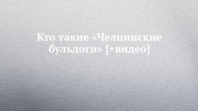 Кто такие «Челнинские бульдоги» [+видео] - chelny-izvest.ru - Уфа - Ижевск