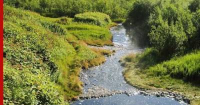 Ученые обнаружили «странности» в одной из рек на Камчатке - profile.ru - Камчатский край