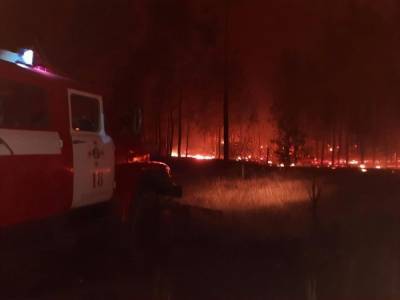 НМ ЛНР: за прошедшие сутки ликвидировано 330 очагов пожаров - news-front.info - Украина - ЛНР - Донбасс