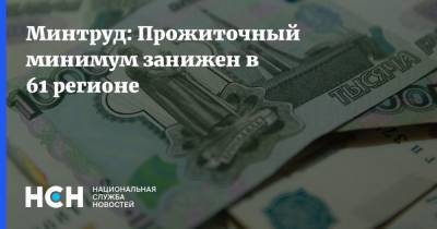 Антон Котяков - Минтруд: Прожиточный минимум занижен в 61 регионе - nsn.fm - Россия