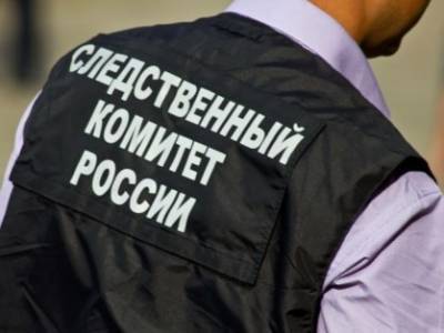 СМИ сообщили о задержании бывшего сенатора Вячеслава Дерева - znak.com - Россия
