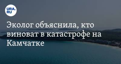 Эколог объяснила, кто виноват в катастрофе на Камчатке - ura.news - Пермь - Камчатский край