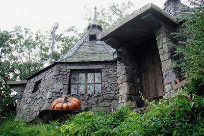 Гарри Поттер - Томас Фелтон - Известный певец построил в своем саду копию дома из «Гарри Поттера» - lenta.ru
