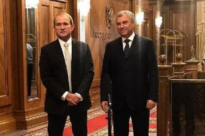 Виктор Медведчук - Вячеслав Володин - Володин и Медведчук обсудили активизацию межпарламентского взаимодействия - argumenti.ru - Россия - Украина