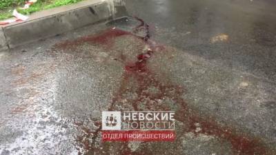 Под окнами дома в центре Петербурга нашли тело полностью раздетого подростка - piter.tv - Санкт-Петербург