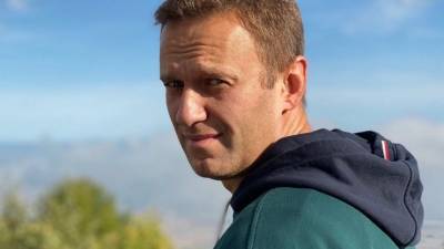 Алексей Навальный - В ОЗХО заявили, что не нашли в анализах Навального запрещенных веществ - 5-tv.ru - Россия