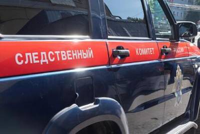 СК возбудил уголовное дело после госпитализации 13 школьников с линейки - lenta.ru - Россия - Великий Луки