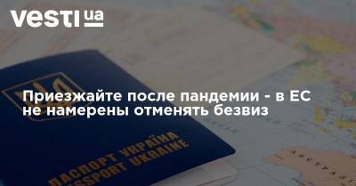Владимир Зеленский - Приезжайте после пандемии - в ЕС не намерены отменять безвиз - vesti.ua - Украина - Брюссель