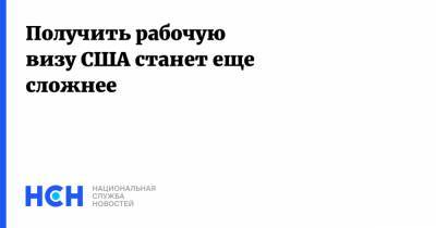 Получить рабочую визу США станет еще сложнее - nsn.fm - США