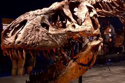 Скелет тираннозавра Стэна был продан за рекордные $31,8 млн - mk.ru - USA - штат Южная Дакота