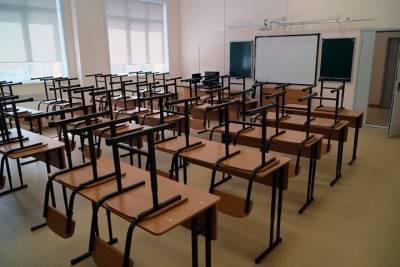 Более 10 школ закрыли на Алтае из-за эпидемий - tayga.info - респ. Алтай