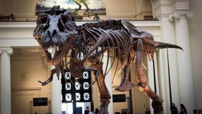 Скелет тираннозавра продали на аукционе за рекордные $31,8 млн - piter.tv - штат Южная Дакота