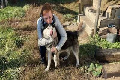 На Южном Урале полицейские нашли пропавшиую собаку - chel.mk.ru - Челябинская обл.