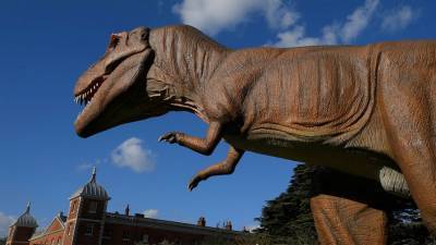 Скелет тираннозавра продали на торгах за рекордные $31,8 млн - gazeta.ru - Нью-Йорк - штат Южная Дакота