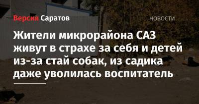 Жители микрорайона САЗ живут в страхе за себя и детей из-за стай собак, из садика даже уволилась воспитатель - nversia.ru