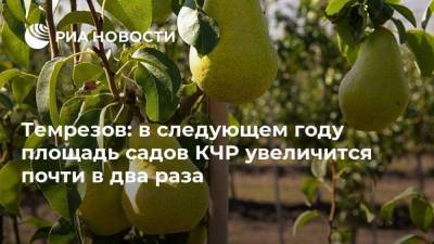 Рашид Темрезов - Темрезов: в следующем году площадь садов КЧР увеличится почти в два раза - smartmoney.one - Россия - респ. Карачаево-Черкесия