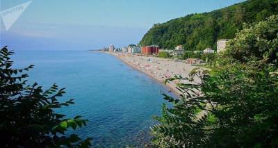 В территориальных водах Грузии начнут изучать хищных брюхоногих моллюсков - sputnik-georgia.ru - Грузия - Тбилиси