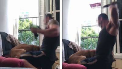 Шок в Бат-Яме: репатриант избил собаку ремнем и выставил видео в соцсеть - vesty.co.il - Бат-Яма
