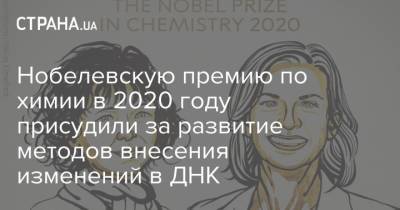 Нобелевскую премию по химии в 2020 году присудили за развитие методов внесения изменений в ДНК - strana.ua