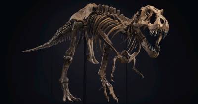 Скелет тираннозавра был продан по рекордной цене в $32 млн - popmech.ru