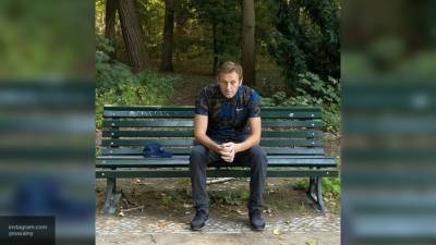 Алексей Навальный - Александр Сосновский - Журналист об отношении к Навальному в ФРГ: больше смеха, чем сочувствия - nation-news.ru - Россия - Германия