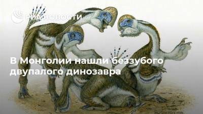 В Монголии нашли беззубого двупалого динозавра - ria.ru - Москва - Монголия