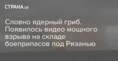 Владимир Путин - Словно ядерный гриб. Появилось видео мощного взрыва на складе боеприпасов под Рязанью - strana.ua - Россия - Рязанская обл. - Рязань