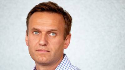 Алексей Навальный - Аньес Калламар - Кристофер Бургер - Навальный попросил помощи у ООН - vesti.ru - Россия - Германия - Франция