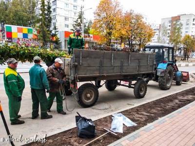 На ул. Николаева в Смоленске высаживают сирень и яблони - rabochy-put.ru - Смоленск