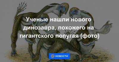 Екатерина Гура - Ученые нашли нового динозавра, похожего на гигантского попугая (фото) - news.mail.ru - Монголия