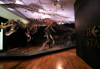 На аукционе продали скелет тиранозавра за рекордную сумму - facenews.ua - Украина - штат Южная Дакота