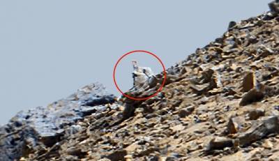 Скотт Уоринг - Уфолог обнаружил на поверхности Марса древний храм - actualnews.org - Египет